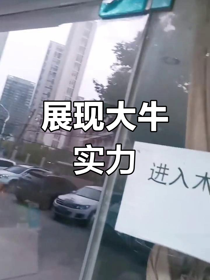 冲击夺冠的广东金州队，实力不容小觑！的简单介绍